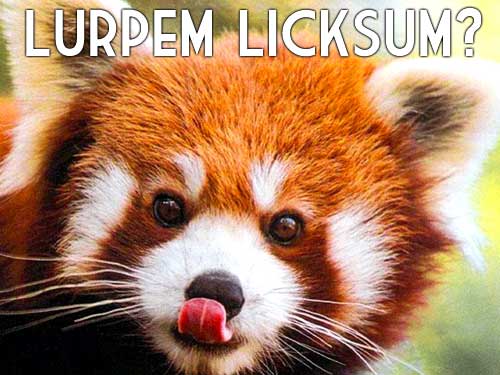 Lurpem Licksum --- WWW.XYDEXX.COM